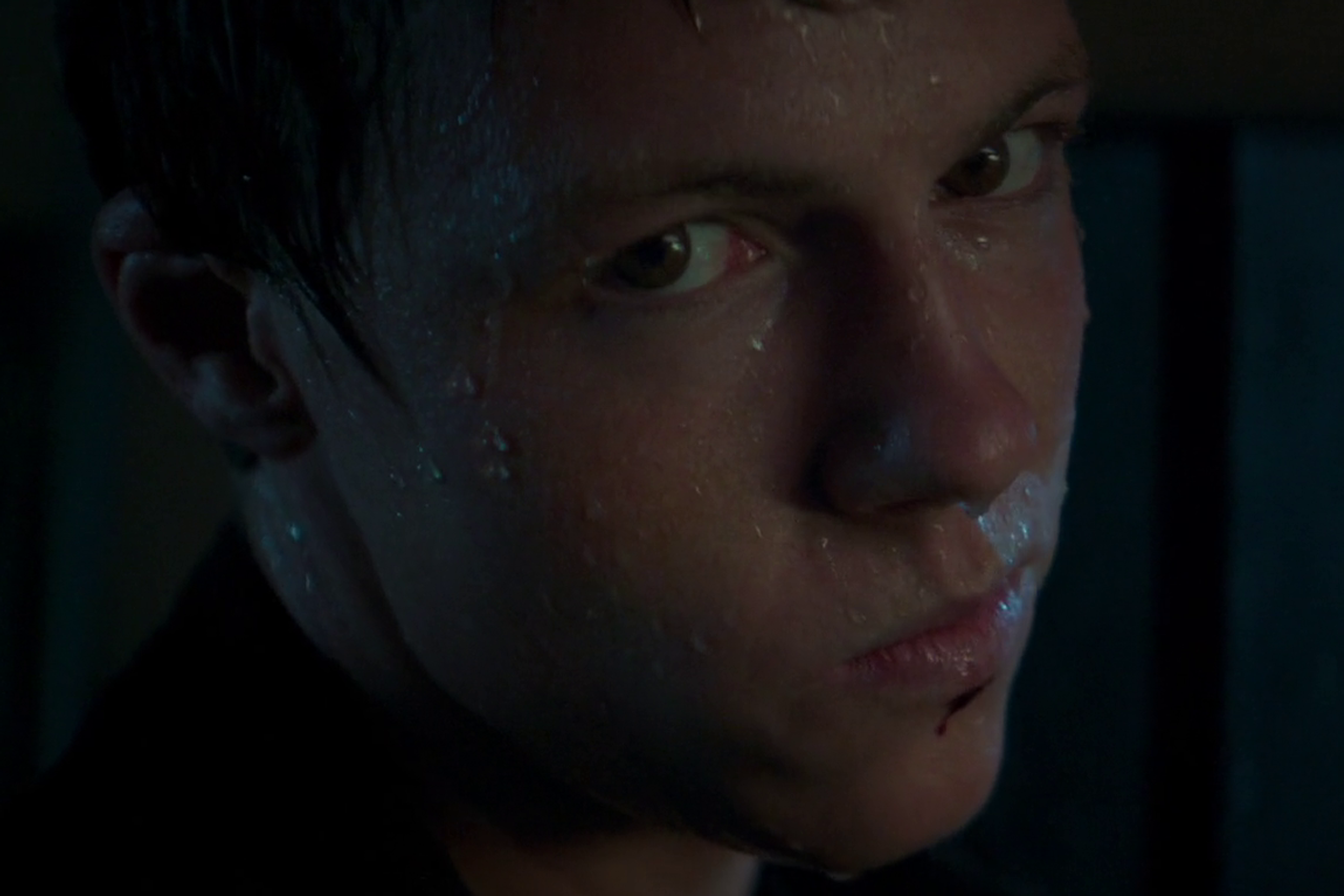 Milo Moses Callaghan as Wayne in The Strangers: Chapter 2